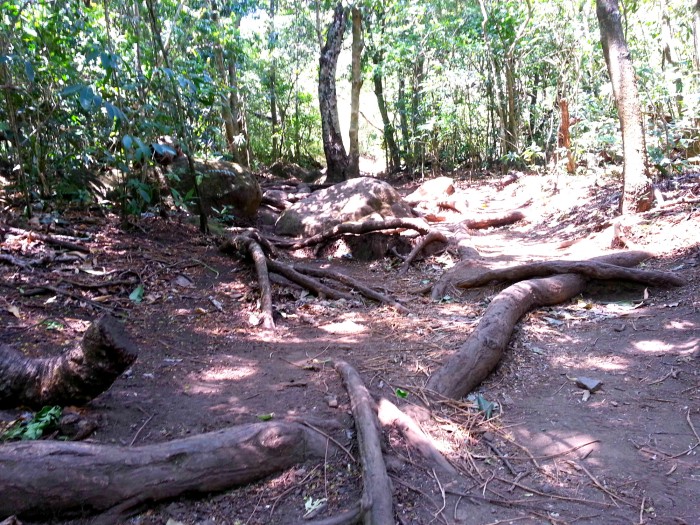 Rincon de la Vieja national park in Costa Rica
